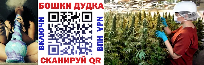 МАРИХУАНА ГИДРОПОН  Купить где  Краснодар 